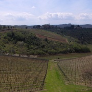 11_Castagnoli (18)
